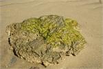 p_narara marine national park